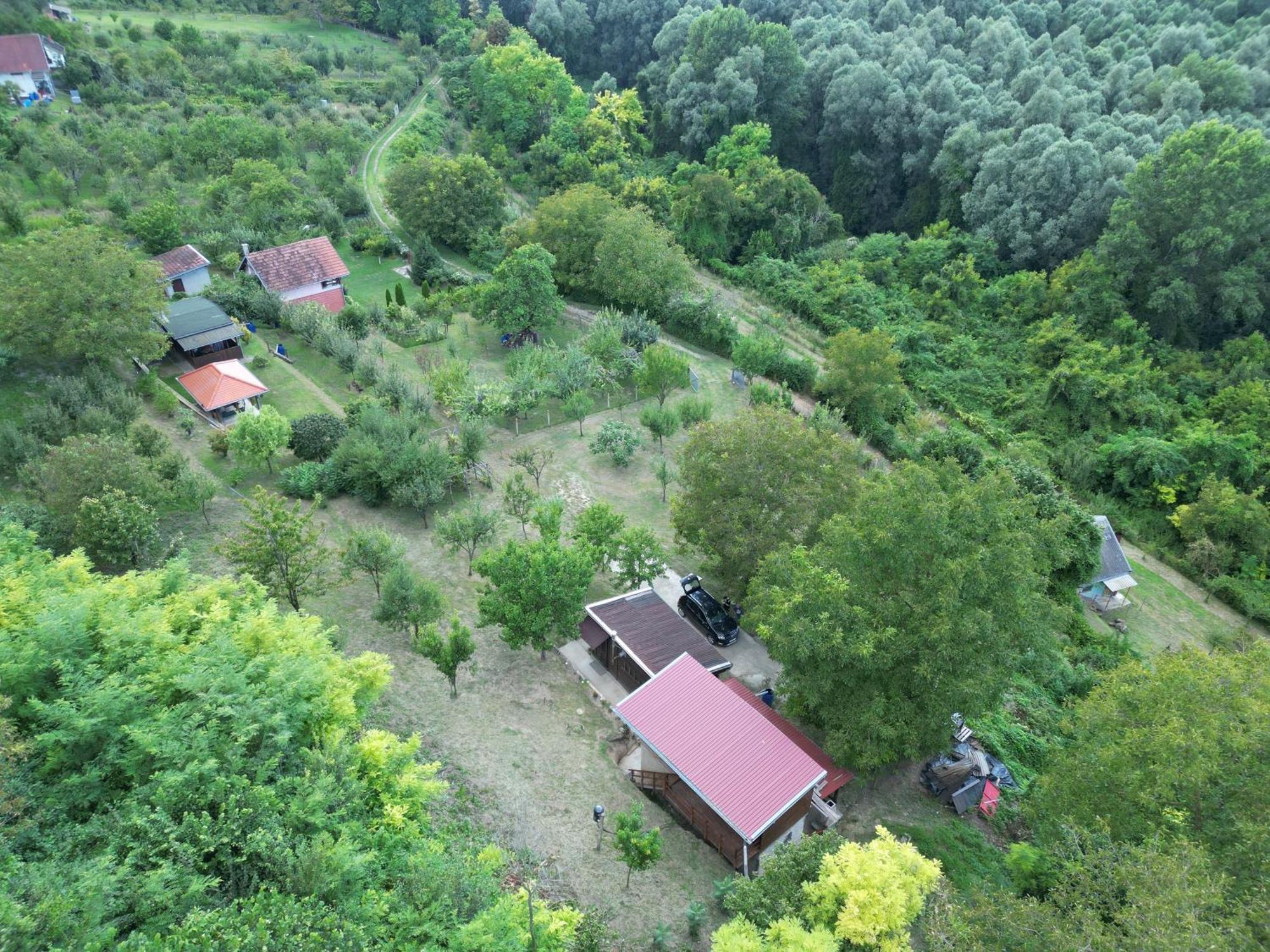 Villa Odmor Za Dusu I Tijelo U Srcu Prirode Aljmaš Exterior foto